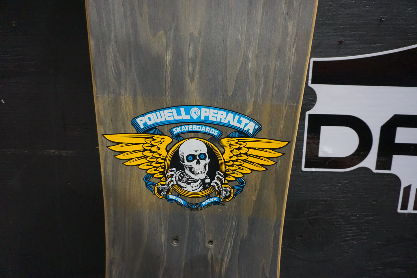 Powell Peralta McGill Skull and Stake - USED -Teal - AS IS - No Returns.